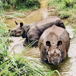 Explore Nepal Escapade Culture and Wilderness for 12 days with Passage Holidays and discover unforgettable experiences - Photo 2