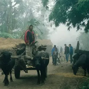 Explore Wonders of Nepal for 10 days with Passage Holidays and discover unforgettable experiences - Photo 5