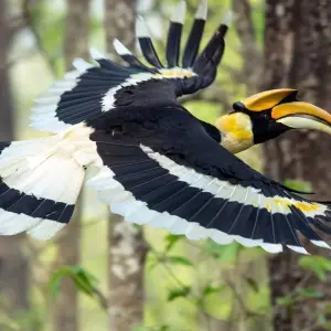 Explore Nepal Escapade Culture and Wilderness for 12 days with Passage Holidays and discover unforgettable experiences - Photo 3