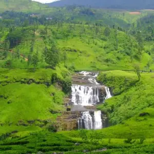 Explore Splendours of Sri Lanka for 12 days with Passage Holidays and discover unforgettable experiences - Photo 5