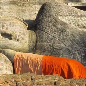 Explore Sri Lanka Wildlife and Heritage for 18 days with Passage Holidays and discover unforgettable experiences - Photo 4