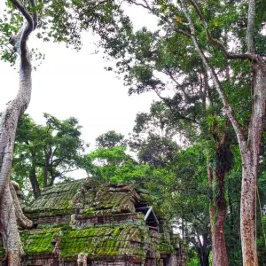 Explore Ultimate Angkor Wat, private AC car tour for 4 days with Payless tours india and discover unforgettable experiences - Photo 3