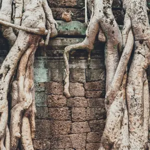 Explore Ultimate Angkor Wat, private AC car tour for 4 days with Payless tours india and discover unforgettable experiences - Photo 4