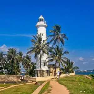 Explore Highlights of Sri Lanka for 14 days with Passage Holidays and discover unforgettable experiences - Photo 7