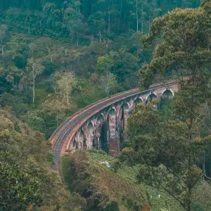 Explore Sri Lanka Luxury Escapes for 12 days with Passage Holidays and discover unforgettable experiences - Photo 7