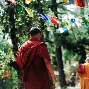 Explore Bestseller Golden Triangle of India and Nepal with trekking, flight included for 14 days with Payless tours india and discover unforgettable experiences - Photo 5