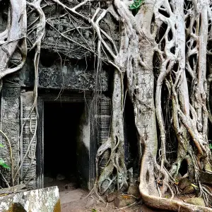 Explore Ultimate Angkor Wat, private AC car tour for 4 days with Payless tours india and discover unforgettable experiences - Photo 5