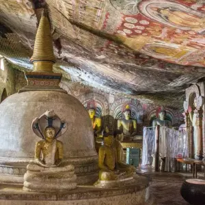 Explore Sri Lanka Wildlife and Heritage for 18 days with Passage Holidays and discover unforgettable experiences - Photo 9