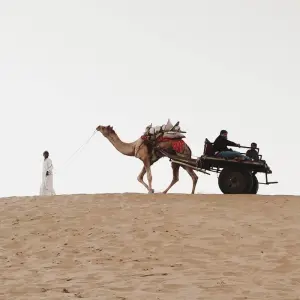 Explore The brightest colours of Royal Rajasthan, private AC car for 15 days with Payless tours india and discover unforgettable experiences - Photo 7