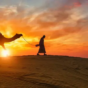 Explore Royal Rajasthan with Varanasi for 22 days with Payless tours india and discover unforgettable experiences - Photo 11