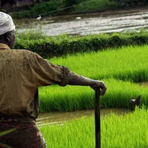 Explore Essence of  Idyllic South India for 9 days with Payless tours india and discover unforgettable experiences - Photo 3