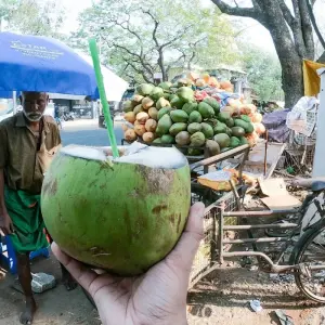 Explore Essence of  Idyllic South India for 9 days with Payless tours india and discover unforgettable experiences - Photo 5