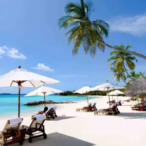 Explore Essence of North India tour with relax on the beach in Goa, flights included for 22 days with Payless tours india and discover unforgettable experiences - Photo 11