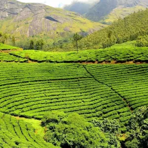 Explore Essence of  Idyllic South India for 9 days with Payless tours india and discover unforgettable experiences - Photo 10