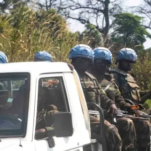 Explore Glimpse of Cameroon and Central African Republic for 11 days with Penguin Travel and discover unforgettable experiences - Photo 2