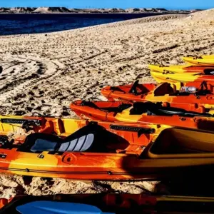 Explore Western Sahara and Mauritania for 11 days with Penguin Travel and discover unforgettable experiences - Photo 3