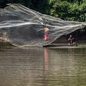 Explore Glimpse of Cameroon and Central African Republic for 11 days with Penguin Travel and discover unforgettable experiences - Photo 5