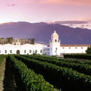 Explore Argentina Mountains, jungle and the big city: Buenos Aires, Iguazu & Salta for 10 days with People Travel and Experience and discover unforgettable experiences - Photo 2