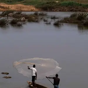 Explore Glimpse of Cameroon and Central African Republic for 11 days with Penguin Travel and discover unforgettable experiences - Photo 9