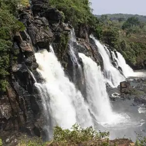 Explore Glimpse of Cameroon and Central African Republic for 11 days with Penguin Travel and discover unforgettable experiences - Photo 10