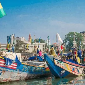 Explore West African Explorer – Guinea, Sierra Leone and Liberia for 13 days with Penguin Travel and discover unforgettable experiences - Photo 11