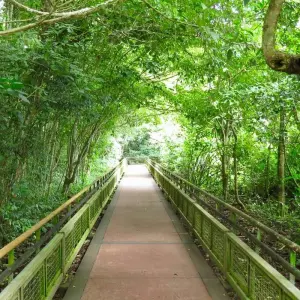 Explore Argentina Mountains, jungle and the big city: Buenos Aires, Iguazu & Salta for 10 days with People Travel and Experience and discover unforgettable experiences - Photo 6