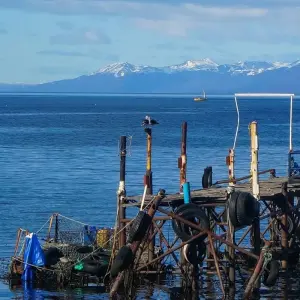 Explore End of the World: Ushuaia for 4 days with People Travel and Experience and discover unforgettable experiences - Photo 3