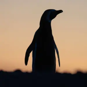 Explore End of the World: Ushuaia for 4 days with People Travel and Experience and discover unforgettable experiences - Photo 6