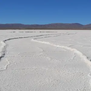 Explore Northern of Argentina in Salta & Jujuy for 6 days with People Travel and Experience and discover unforgettable experiences - Photo 4