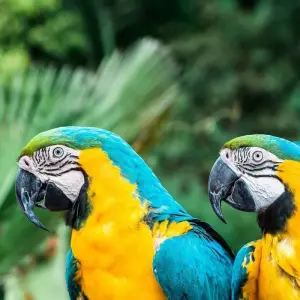 Explore Magnificent Iguazú Falls - Private Services for 3 days with People Travel and Experience and discover unforgettable experiences - Photo 9