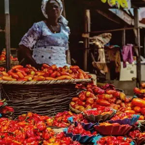 Explore Nigeria Highlights for 9 days with Penguin Travel and discover unforgettable experiences - Photo 4