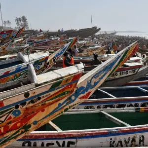 Explore Senegal and The Gambia: A Cultural and Wildlife Odyssey for 10 days with Penguin Travel and discover unforgettable experiences - Photo 2