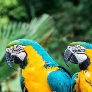 Explore Magnificents Iguazú Falls - Share Services for 3 days with People Travel and Experience and discover unforgettable experiences - Photo 2