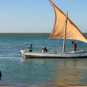 Explore Senegal and The Gambia: A Cultural and Wildlife Odyssey for 10 days with Penguin Travel and discover unforgettable experiences - Photo 3