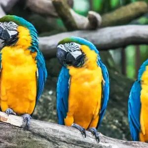 Explore Magnificents Iguazú Falls - Share Services for 3 days with People Travel and Experience and discover unforgettable experiences - Photo 3