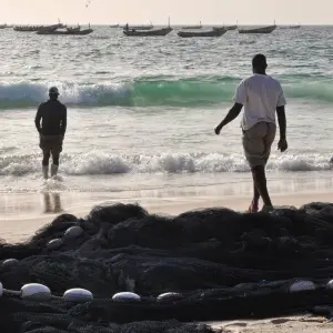 Explore Senegal and The Gambia: A Cultural and Wildlife Odyssey for 10 days with Penguin Travel and discover unforgettable experiences - Photo 4