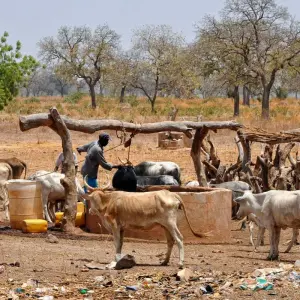 Explore Senegal and The Gambia: A Cultural and Wildlife Odyssey for 10 days with Penguin Travel and discover unforgettable experiences - Photo 6