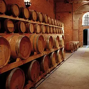 Explore Mendoza Wine Tasting for 4 days with People Travel and Experience and discover unforgettable experiences - Photo 6