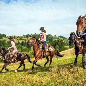 Explore Orpheus Trail Ride, Bulgaria for 8 days with Penguin Travel and discover unforgettable experiences - Photo 11