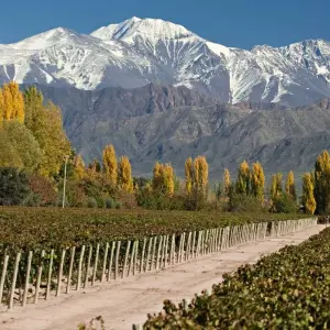 Explore Mendoza Wine Tasting for 4 days with People Travel and Experience and discover unforgettable experiences - Photo 8