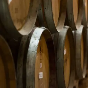 Explore Wines and High Mountains: Salta & Mendoza for 7 days with People Travel and Experience and discover unforgettable experiences - Photo 6