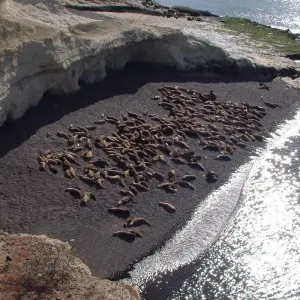 Explore Buenos Aires & Puerto Madryn for 6 days with People Travel and Experience and discover unforgettable experiences - Photo 4