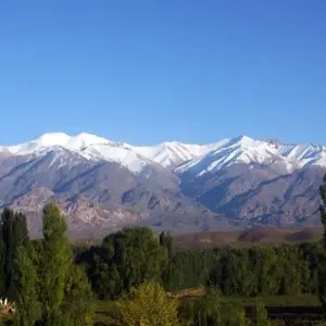 Explore Unique Mendoza Experience for 4 days with People Travel and Experience and discover unforgettable experiences - Photo 9
