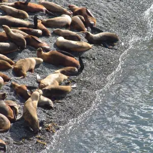 Explore Buenos Aires & Puerto Madryn for 6 days with People Travel and Experience and discover unforgettable experiences - Photo 5