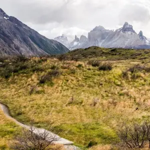 Explore Puerto Natales & Paine Towers for 4 days with People Travel and Experience and discover unforgettable experiences - Photo 6