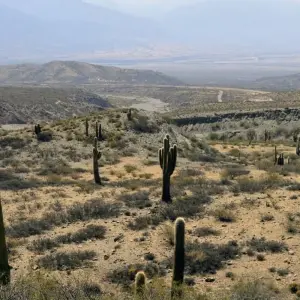 Explore Wines and High Mountains: Salta & Mendoza for 7 days with People Travel and Experience and discover unforgettable experiences - Photo 10