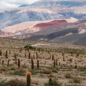 Explore Classic North - Culture and landscapes for 11 days with People Travel and Experience and discover unforgettable experiences - Photo 7