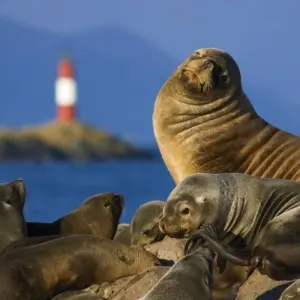 Explore Patagonia Express for 9 days with People Travel and Experience and discover unforgettable experiences - Photo 3