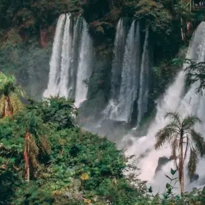 Explore Magnificent Iguazu Falls & Ibera Wetlands for 8 days with People Travel and Experience and discover unforgettable experiences - Photo 6