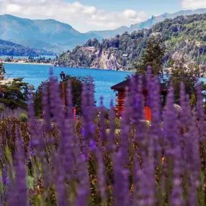 Explore Northern Patagonia: San Carlos de Bariloche for 5 days with People Travel and Experience and discover unforgettable experiences - Photo 10